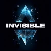 Invisible Team